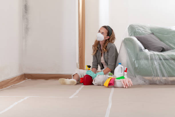 Reliable Bathroom Mold Removal contractor in Canton, TX by Mold Remediation HQ